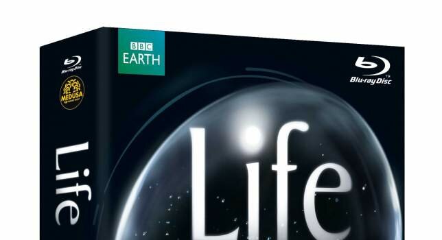 Life Cofanetto Blu-Ray: Blu Ray Review - La lotta per la vita